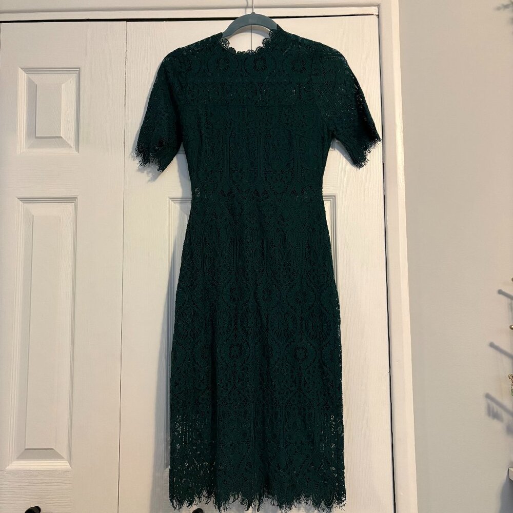 Remarkable Forest Green Sheer Lace Short Sleeve Mini Dress